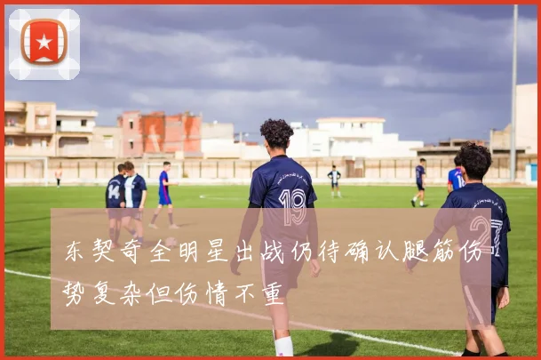 东契奇全明星出战仍待确认腿筋伤势复杂但伤情不重